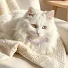 Luz de noite estilo novo contas de ametista pingente de coração colar gato e cachorro pequenos acessório simples universal multicolorido ajustável