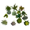 Venda Quente Transfronteiriça Cabeça de Flor Suculenta Simulada DIY Planta Flor Artificial Criativa Estilosa Planta Verde Decoração de Casa Fabricante da Fonte