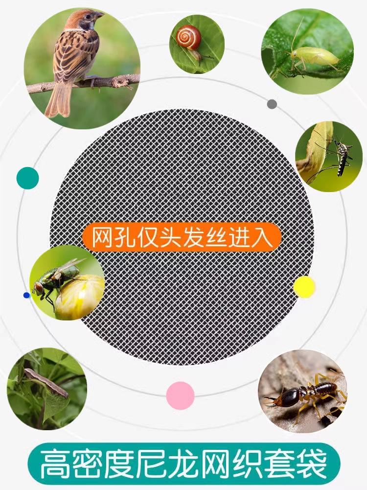详情6.jpg