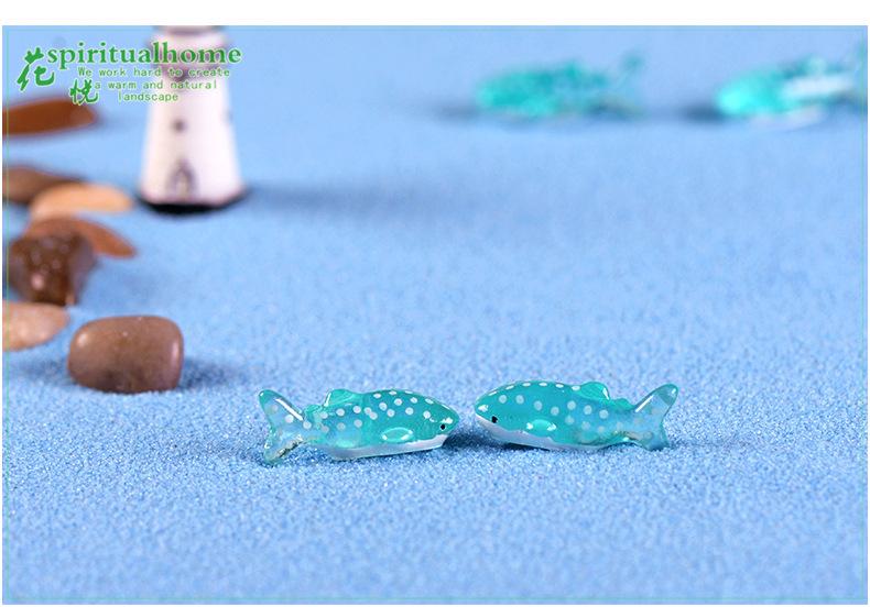 斑点鲨鱼_05