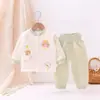 Conjunto Split Espessado de Algodão Puro Roupas de Outono para Bebê Algodão Fino Temporada de Outono e Inverno para Bebê Roupa Íntima Quente Calças de Algodão Acolchoado de Cintura Alta para Crianças