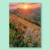 ¡Super Bonito!! Versión sin marca de agua Pintura de póster de fotografía de paisaje extranjero Vida ideal Pintura de decoración de escritorio
