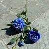 Viento de océano azul flores de simulación para boda al por mayor azul oscuro azul zafiro azul bruma blanco boda camino guía techo flores falsas