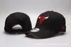 Comercio exterior protector solar gorra de verano para baloncesto raptors lakers osos grizzly red de baloncesto gorra solar gorra con letras guapo gorra de béisbol