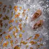 Cyansea Popular Transfronteiriço Peixe Koi Atrai-Fortuna Peixinho Dourado Brilhante Adesivos para Unhas Adesivos Decorativos para Unhas DIY
