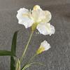 [Material de flor blanca] Arreglo floral de hortensia, rosa, flor de pasto escarchado con decoración de material de hoja de niebla de techo de pasto, flor de simulación para boda
