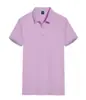2025 Nueva Camiseta de Manga Corta para Hombre Verano Nueva Transpirable y Amigable con la Piel Juvenil Camisa Polo de Negocios Estilo Caliente de Exportación