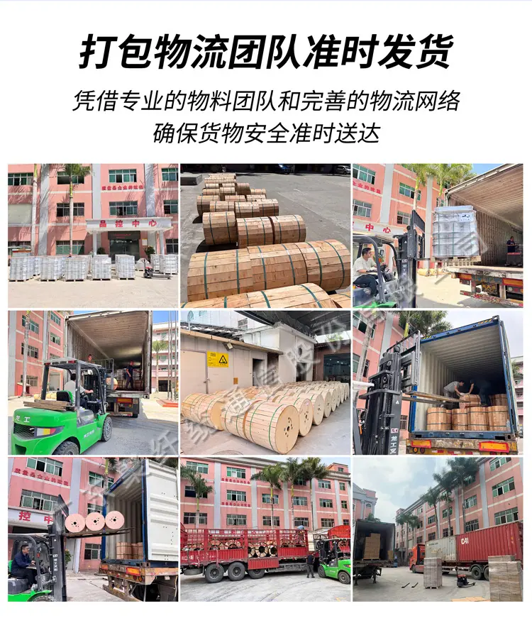 道滘工厂详情2026 (6)
