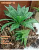 Simulação planta verde samambaia parede de fundo janela decoração de casamento criativo vaso sensação Grama Persa folha de samambaia grande