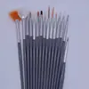 Conjunto completo popular de pincéis de unha atacado caneta de broca para iniciantes pintura caneta de desenho a cores caneta de fototerapia terno de 15 peças fabricantes