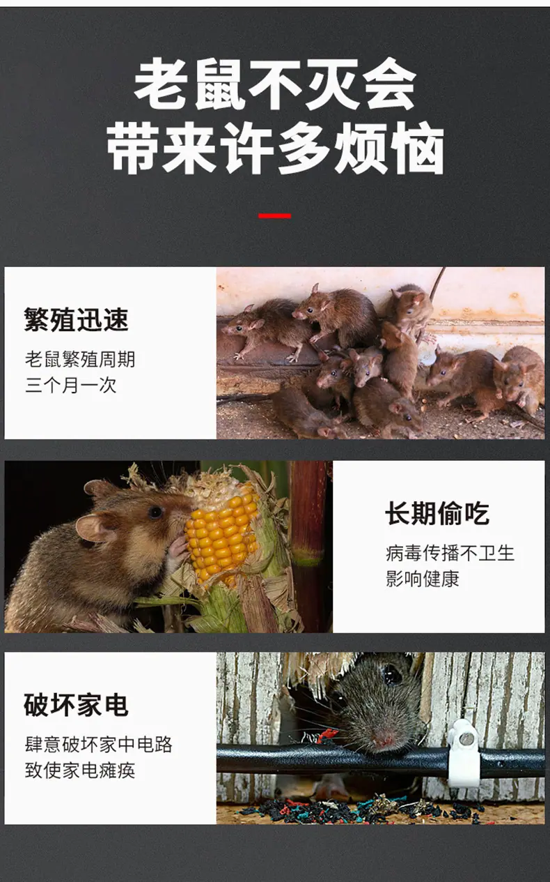 详情图片_2.jpeg