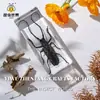 Especímenes de Insectos Artesanales Jingling: Escarabajo, Escorpión, Mantis, Araña - Educación en Ciencias Biológicas, Regalos de Nicho, Adornos de Resina