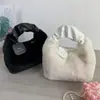 Bolso de Peluche para Niñas 2025 Otoño e Invierno Nuevo Estilo Bolso Cruzado Versátil Bolso de Nicho Estilo Chanel