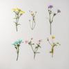 Xiacao Espécimen de Planta en Relieve Goteo de Gel Carcasa para Teléfono Móvil diy Material de Marco de Fotos Flores Secas en Relieve Flores Reales Maquillaje de Novia