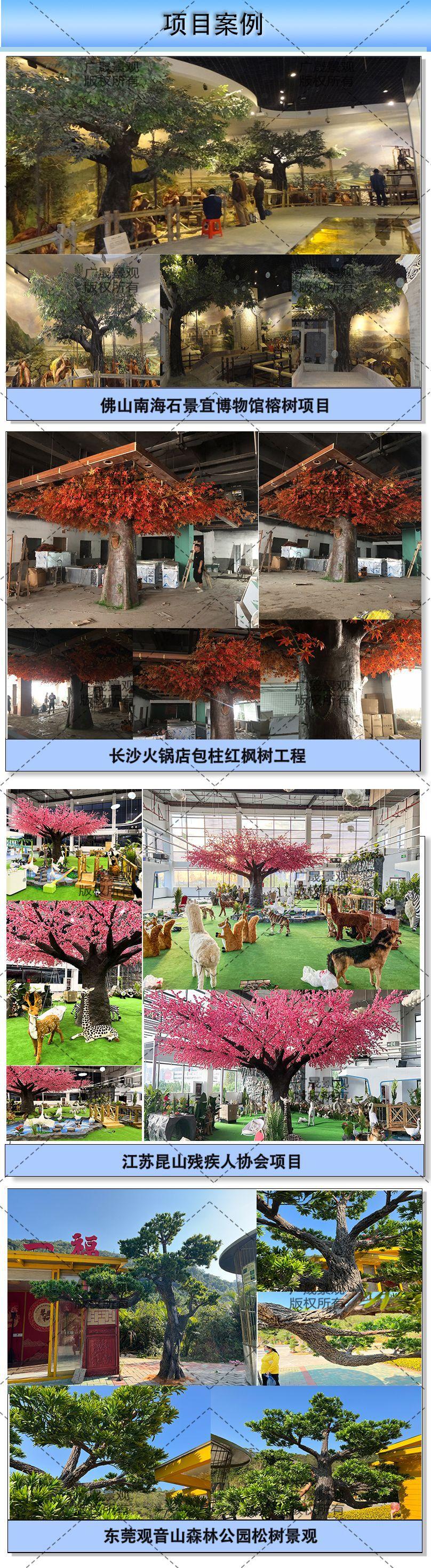 4 项目案例