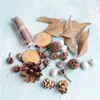 Materiais de Flores Secas Galhos Bolotas Pinhas Algodão Vagens de Lótus Jardim de Infância Artesanato Velas Aromáticas Fatias Decoração Adereços para Fotos