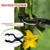 Clip Fijo para Pepinos y Tomates, Clip Fijo para Berenjena y Pimientos, Clip de Soporte para Fijación de Diámetro de Vara de Planta