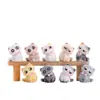 Figurinhas colecionáveis surpresa da IP da Miaomiao Ge, decorações surpresa de animais de desenho animado, caixinhas surpresa fofas e divertidas de celebridades da internet de gatos, mais vendidas