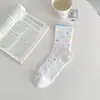 Meias Coloridas com Bolinhas para Mulheres, Meias de Cano Médio, Algodão para Primavera e Outono, Estilo Japonês, Simples e Versátil, Meias Largas Coloridas com Listras Branco Creme