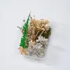 Paquete de Materiales DIY Hechos a Mano de Frutas y Flores Secas Arreglo Floral Planta Piña Decoración Actividades de Team Building Al Por Mayor