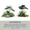 Palmeira de tronco de folha redonda em vaso Planta de simulação Dança Yan Bonsai Decoração de interior para casa Artesanato com flores Flores artificiais atacado