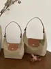 Bolso Cruzado de Nylon para Mujer 2026 Nuevo Casual Versátil de un Solo Hombro Debajo del Brazo Bolso Dumpling Super Caliente de Trabajo Pequeño para Llevar