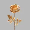 Série de Flores Artificiais Douradas Cuidadosamente Selecionadas: Eucalipto, Flores Pequenas em Forma de Leque, Hortênsias, Orquídeas Phalaenopsis, Decorações de Balde da Fortuna para o Ano Novo e Festival da Primavera