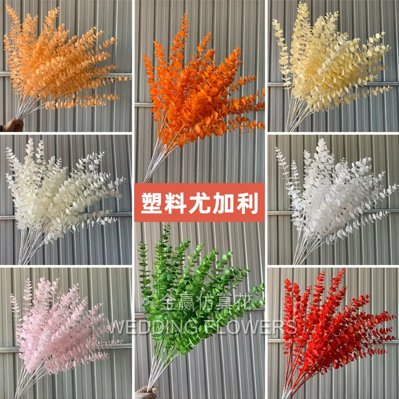 尤加利
