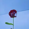 Ramo de claveles de lana tejida a ganchillo transfronterizo ramo de flores artificiales tejidas a mano regalo de vacaciones del día de la madre para niñas
