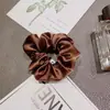 Nuevas Gomas para el Cabello Transfronterizas Europeas y Americanas Scrunchies de Satín Estilo Ins Color Sólido Brillantes Bandas Elásticas de Alta Elasticidad Accesorios para el Cabello