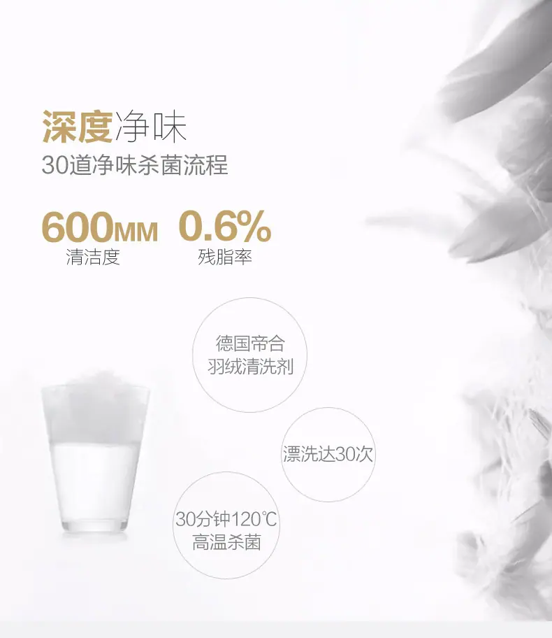 顶部_05-2.jpg?x-oss-process=image/format,png