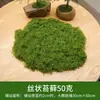 Herramientas de Jardinería para Césped de Musgo Plantas Verdes Micro Plantas Césped Artificial Falso de Musgo Verde Decoración de Pavimentación para Bonsái
