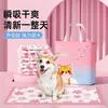 Almohadilla para orina de perro, almohadilla absorbente desodorizante, pañal grueso para perro, pañal desechable de entrenamiento, suministros para mascotas, almohadilla para orina
