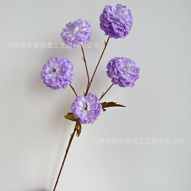 微信图片_202305111705548_副本