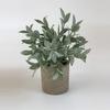 Combinação de venda imperdível da Amazon transfronteiriça Simulação de planta em vaso estilo nórdico mobiliário doméstico Desktop Mini Planta Verde Bonsai