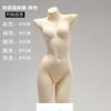 Utilería Modelo de Ropa Interior Femenino Masculino Medio Cuerpo Blanco Mudo Sostén Ropa Interior Plástico Falso Cuerpo Humano Exhibición de Ventana Estante de Exhibición Modelo