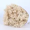 Ramo de flores secas Yongshenghua Gimonis base Yunnan cabello liso flor real decoración de boda materiales hechos a mano DIY