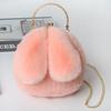 Fabricante Directo al Por Mayor Bolso con Orejas de Conejo Bolso Bandolera Bolso de Clip Cruzado Otoño e Invierno Bolso de Cadena