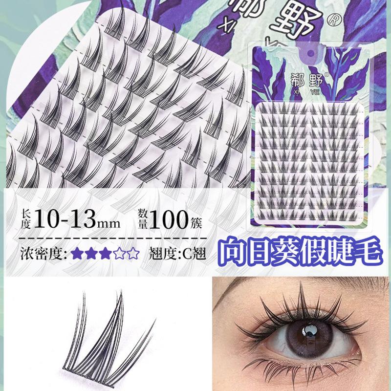 向日葵100.jpg
