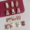 Oso Color Café de Resina, Conejo, Caja de Almacenamiento con Lazo, Funda para Teléfono, Accesorios para el Cabello, Zuecos, Refrigerador, Pegatinas para Tazas, Accesorios al por Mayor