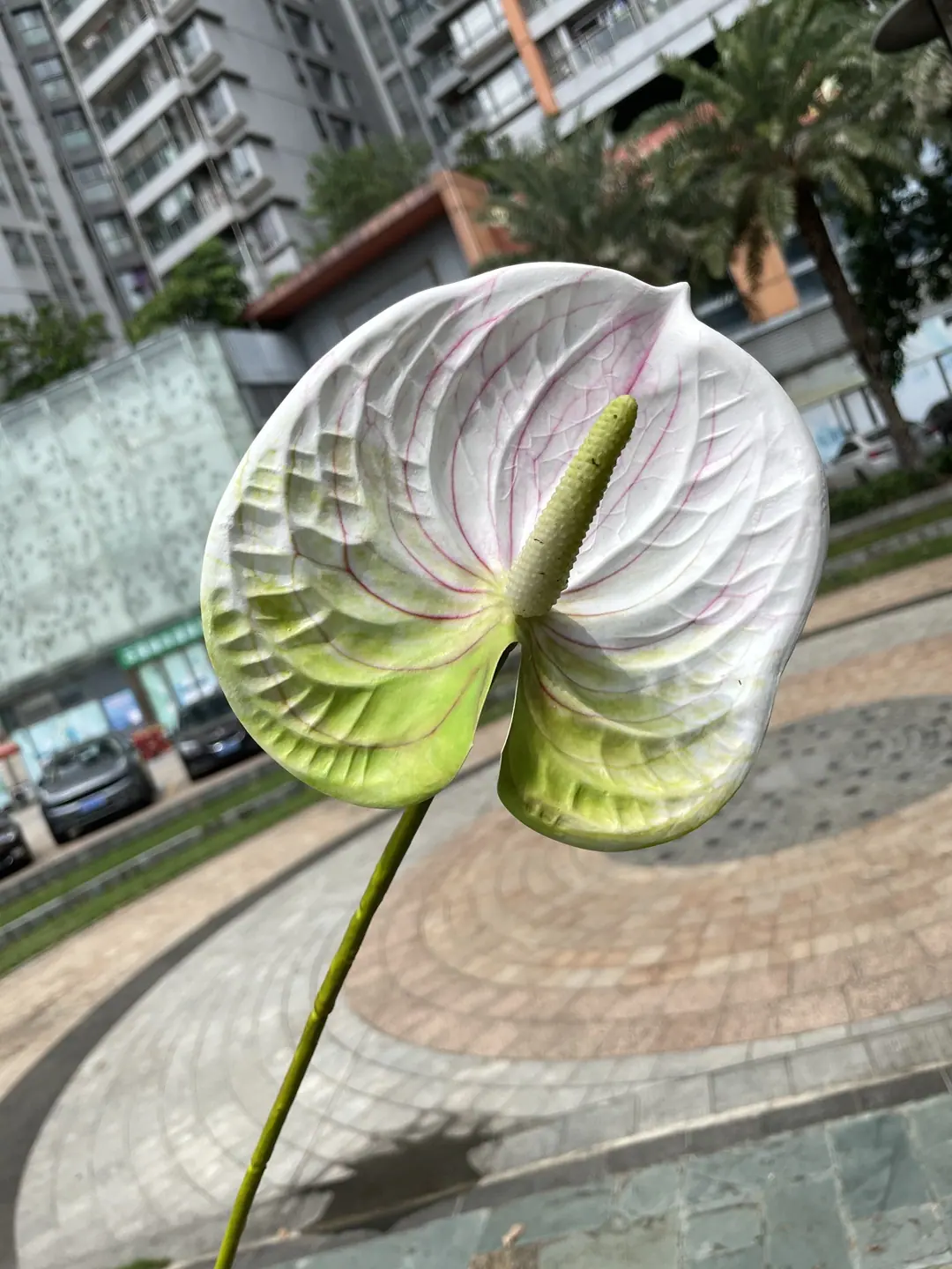 微信图片_20210730114548.jpg