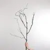Galhos Secos Longos e Cipós Simulados, Rattan para Paisagismo, Paisagismo de Shopping Center, Parede de Plantas Verdes Simuladas, Paisagem de Jardim, Decoração de Floresta Tropical