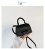 Bolsas Femininas 2024 Nova Moda Versátil Tendência Bolsa Transversal Nicho Popular Bolsa de Ombro Casual Mini Bolsa Pequena