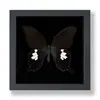 Especimen de Mariposa Real Pintura Decorativa Producto Terminado Soporte de Exhibición Decoración del Hogar Estilo Nórdico Tridimensional Hecho a Mano DIY Regalo de Cumpleaños