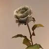 Flores Artificiais de Alta Qualidade, Decoração de Interiores Estilo Europeu, Arranjos Florais para Casamento, Rosas com Borda Queimada, Venda Direta da Fábrica, Rosas Corais