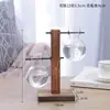 Jarrón de cristal creativo para arreglos florales de sala de estar, recipiente hidropónico transparente simple para plantas pequeñas, maceta de boca estrecha