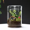 Copo Coletor de Orvalho para Micro Paisagem de Vidro de Mesa Borrifador de Plantas Transparente Garrafa de Musgo Coletora de Luz Garrafa Coletora de Orvalho para Aquário
