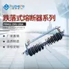 Fabricante (H) Série Rw Fusível de Queda 35Kv Fusível de Queda Fusível de Proteção de Transformador