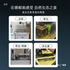 Acuario de Tira Estrecha con Vidrio de Cristal Ultra Transparente para Uso Doméstico, Separador de Balcón, Escritorio de Oficina, Tanque Ultra Estrecho, Mueble de TV, Acuario Largo de Tira