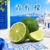 Entrega Atacadista de Limão Verde Anyue de Sichuan Pacote de 1/2/3/ 2,5kg 60g+ Fruta Fresca Ácida para Ingredientes de Chá com Leite